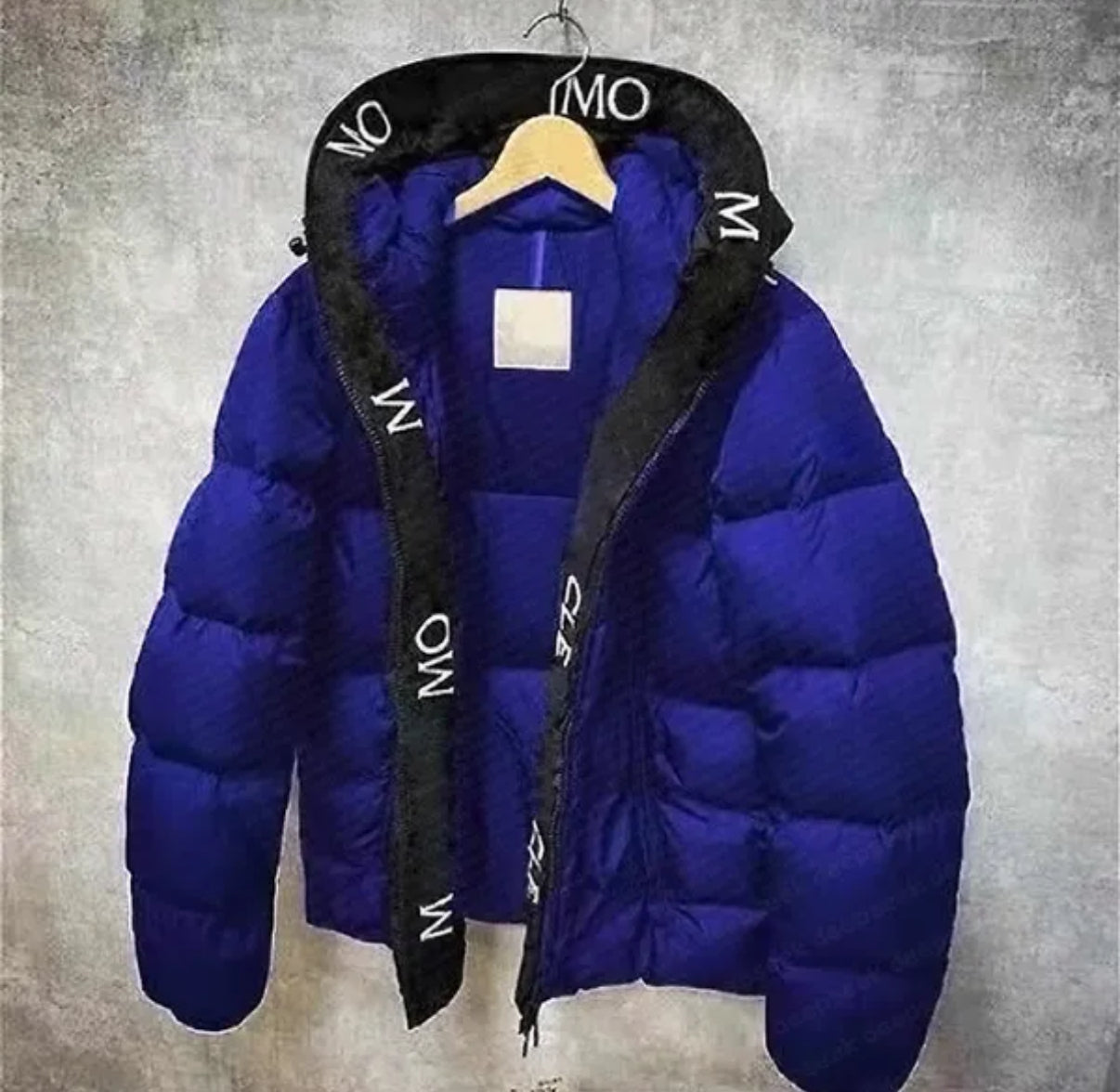 Veste Capuche Designer Doudoune Imperméable Hiver Unisexe