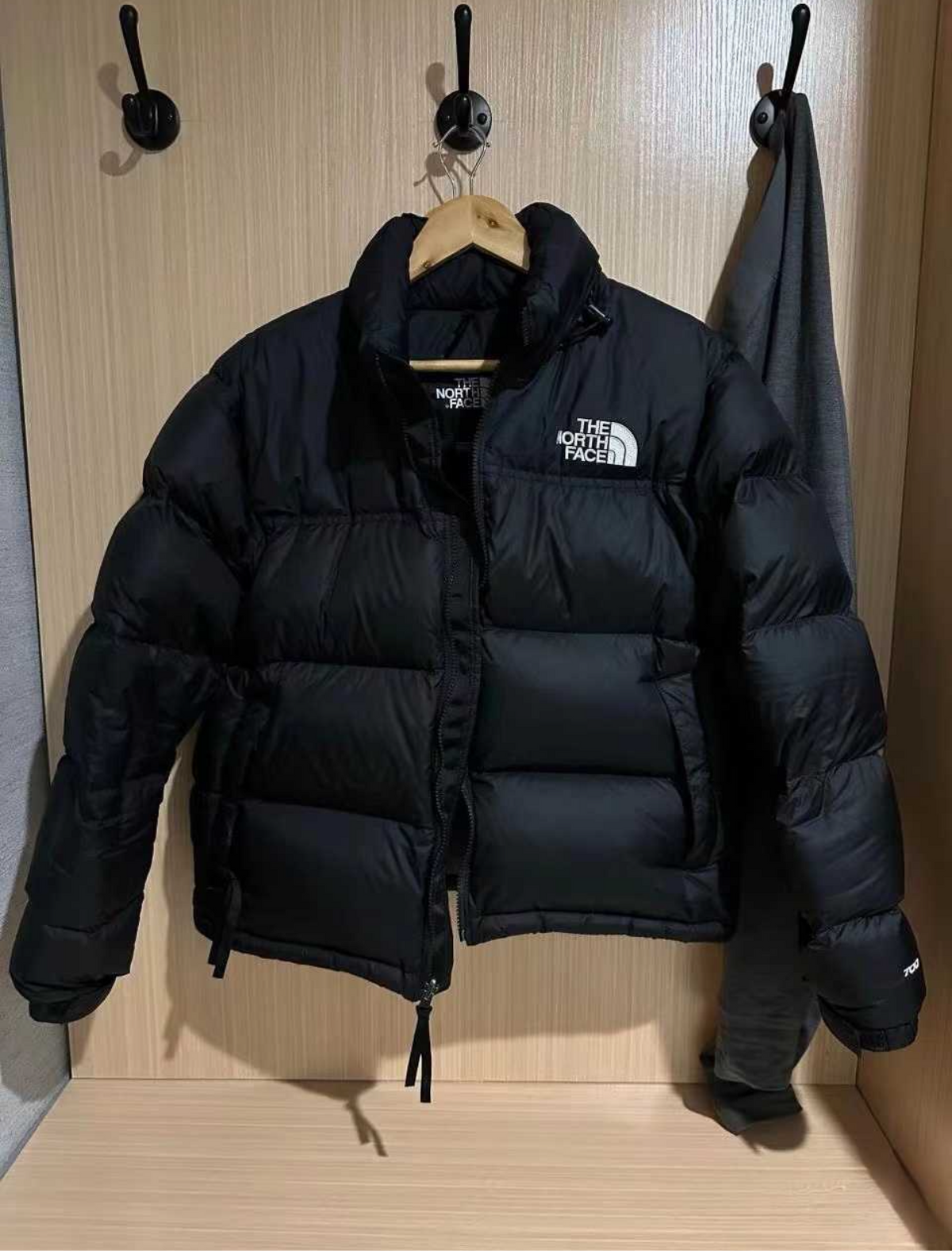 veste The North Face